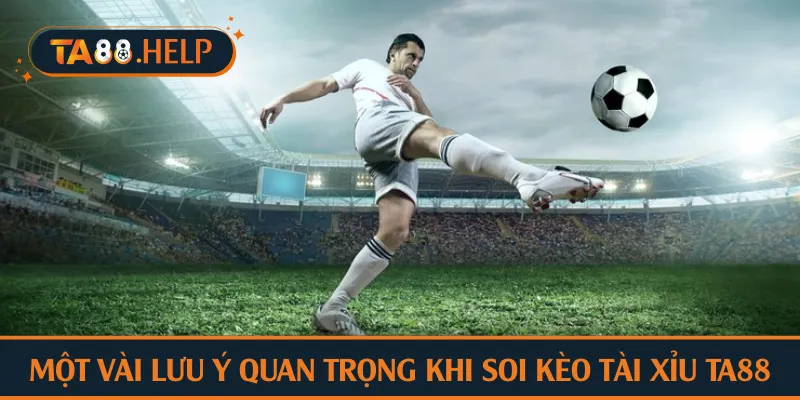 Tổng quan một vài lưu ý quan trọng khi soi kèo tài xỉu TA88